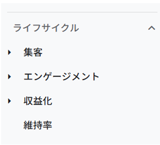 ライフサイクル